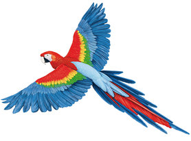Muursticker Papegaai